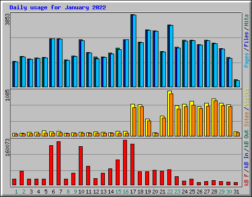 Daily usage for January 2022