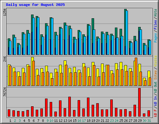 Daily usage for August 2025