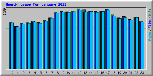 Hourly usage for January 2022