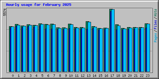 Hourly usage for February 2025