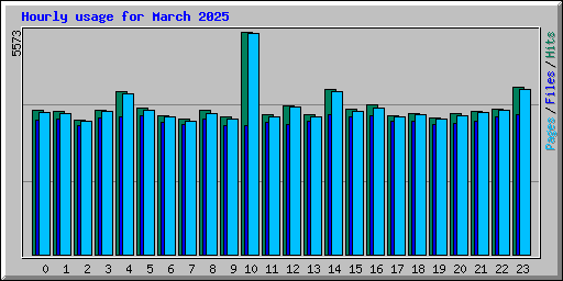 Hourly usage for March 2025