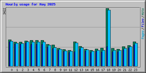 Hourly usage for May 2025