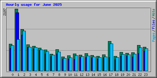 Hourly usage for June 2025